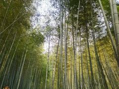 -听风阁农家私房菜茶楼(龙坞店)