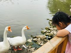 -河北村民俗体验园