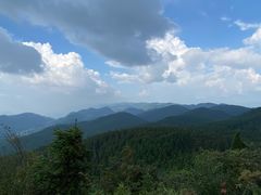 -武陵山森林公园