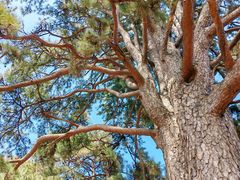 -终南山南五台景区