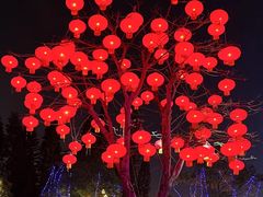 -万绿园