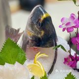 🐟无鱼生不夏天#