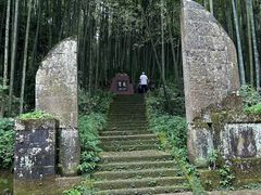 -缙云山景区