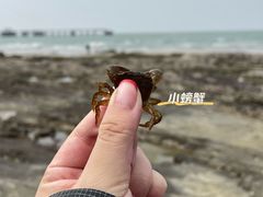-冠头岭