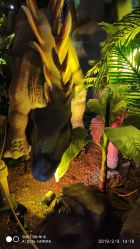 -恐龙探索乐园(磁器口店)