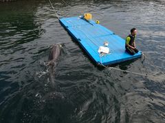 -鹿儿岛水族馆
