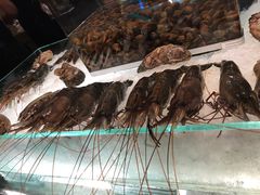 -Ministry of Crab(科伦坡店)