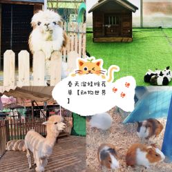 -萌宠亲子动物乐园(槐房万达店)