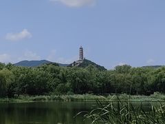 -北坞公园