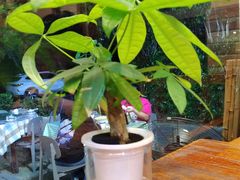 -小丫头餐厅·江浙菜·烧烤(灵隐店)