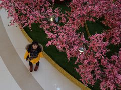 -君悦酒店·乐厨·高空自助餐(青年大街店)