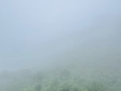 -娄山关景区