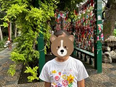-莲池书院博物馆