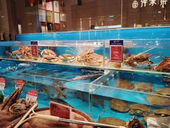-许家菜(DT51店)