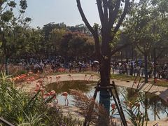 -武汉动物园