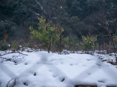 -雅达·阳羡溪山小镇中心