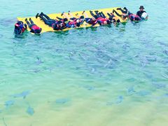 -海南分界洲岛旅游区