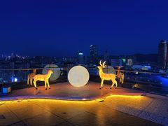 -梧桐餐厅(泉城路店)