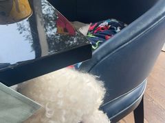 -西安浐灞艾美酒店·汉江餐厅·火锅