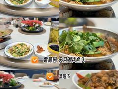 -紫藤园·天目湖大鱼头(南山竹海店)