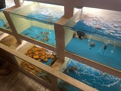 水产区-质烤烤物·活烤海鲜(质烤总店)