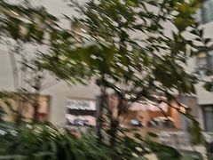 -浦东市民中心-停车场