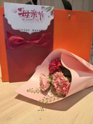 -中法母婴月子中心(南湖创始店)