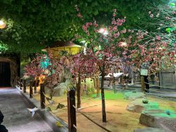 -酷嗒动物文化乐园(cutezoo西溪乐天城店)