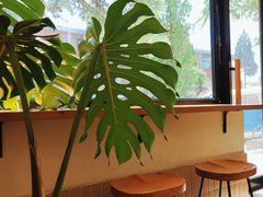 -小意思咖啡店(草桥店)