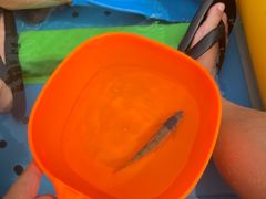 -仙人谷漂流景区