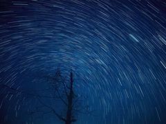 -湖北味道(湖北大厦店)