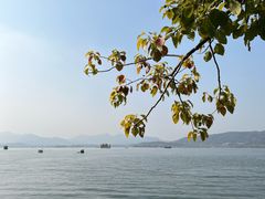 -杭州湖滨in77