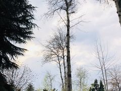 -西安理工大学(金花校区)