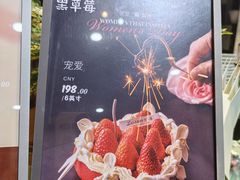 -黑草莓(重庆路店)
