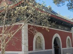 -北京艺术博物馆(万寿寺)