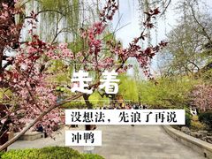 -环城公园