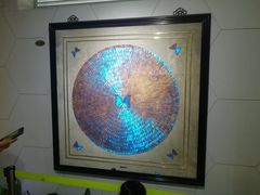 -上海昆虫博物馆