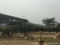 -无锡动物园·太湖欢乐园