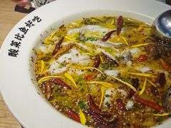 老坛子酸菜鱼-新太二·鲜料川菜(东汇城店)