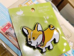 -猫的天空之城概念书店(苏州平江店)