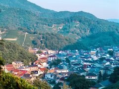 -龙坞茶村