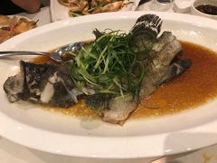 -欢乐海岸美食联盟