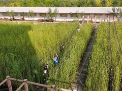 -河北村民俗体验园
