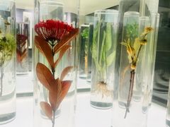-北京中医药大学-中医药博物馆