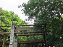 -牛背梁国家森林公园