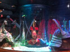 -沈阳海洋探索中心