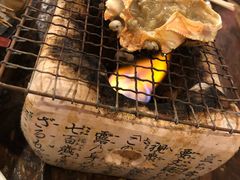 -鰓呼吸 石垣島 美崎町店