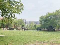 -国家动漫园