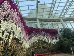 -石家庄市植物园
