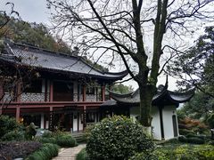 -十八棵（老龙井）御茶园(老龙井店)